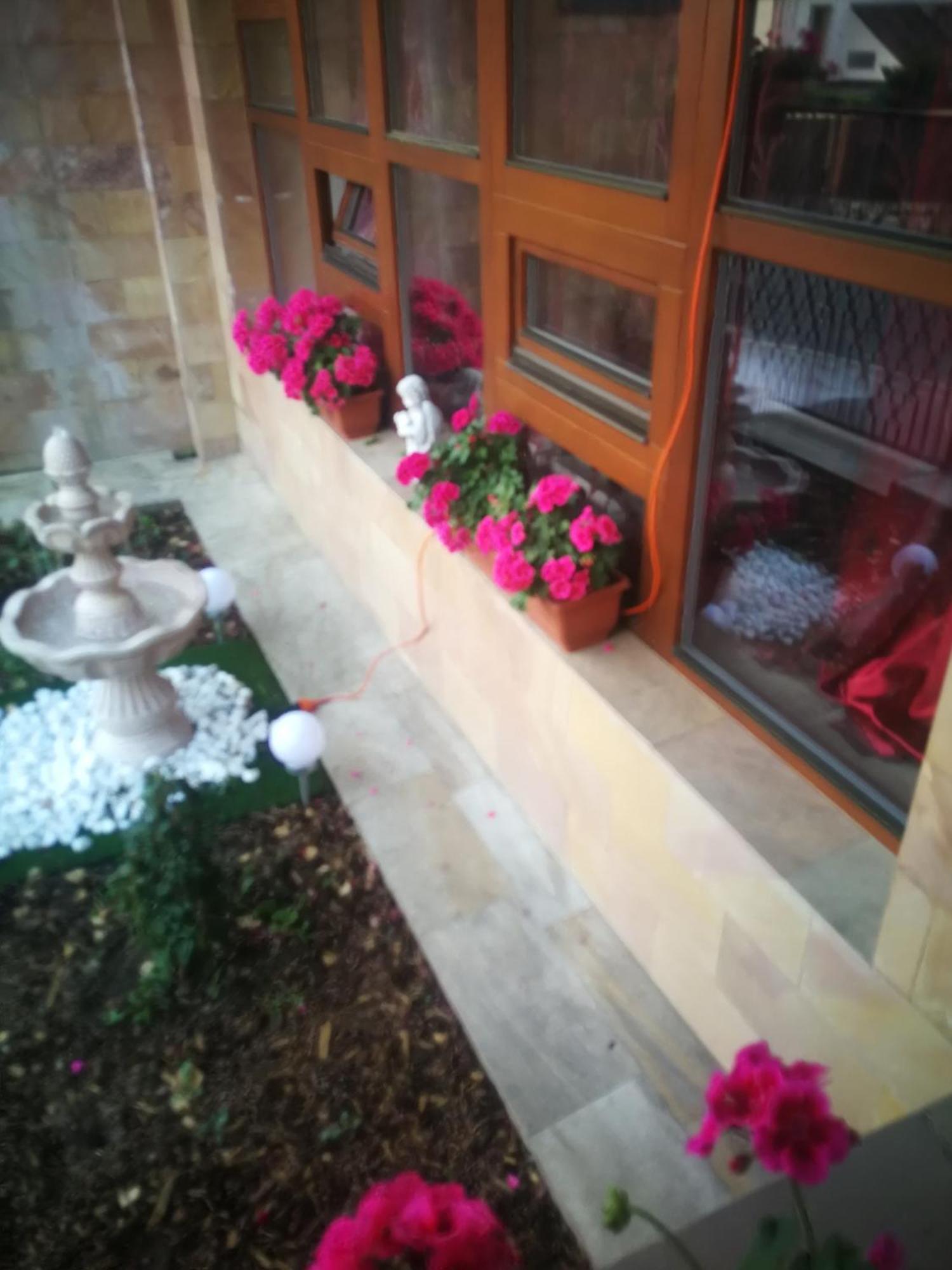 Villa Barrandov Pokoj 3 Prague Ngoại thất bức ảnh